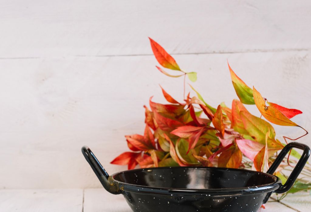 Types of Cast Iron Cookware