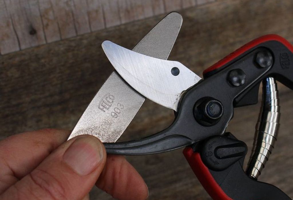 Step-by-Step Process: How to Sharpen Pruning Shears