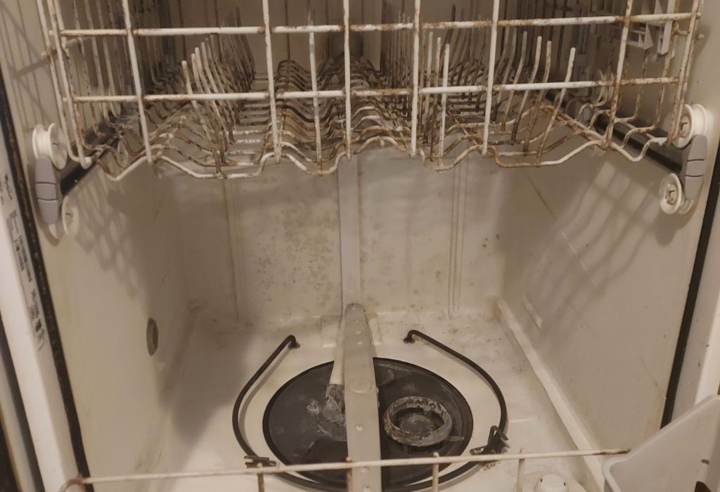 Why Mold Grows in Your Dishwasher