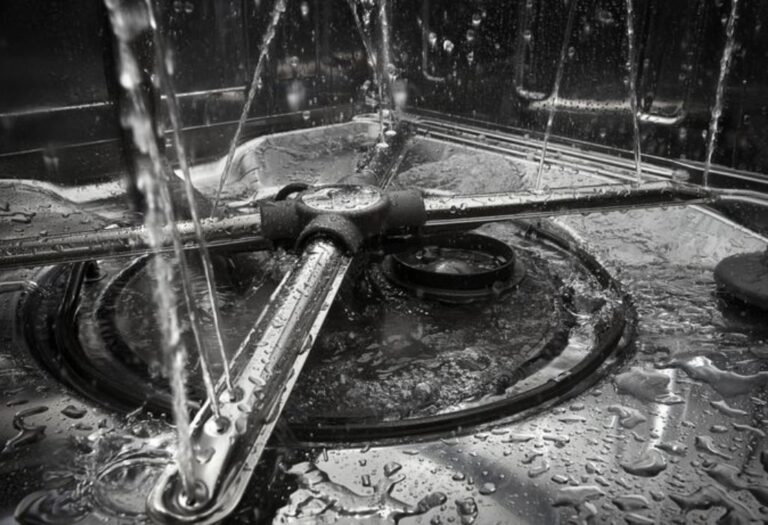 Should There Be Water in Dishwasher Filter After Every Wash