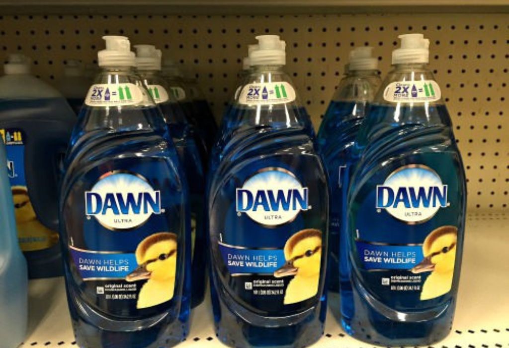Does Dawn Dishwashing Liquid Kill Fleas
