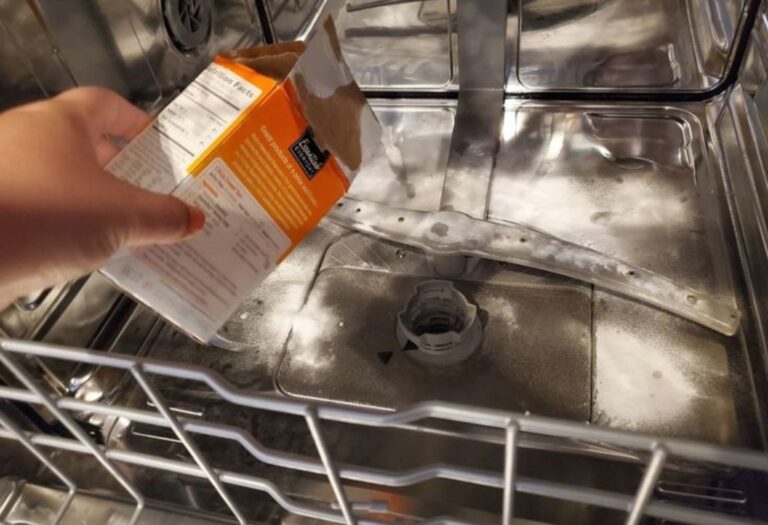 How to Get Rid of Mold in Dishwasher and Stop It Returning