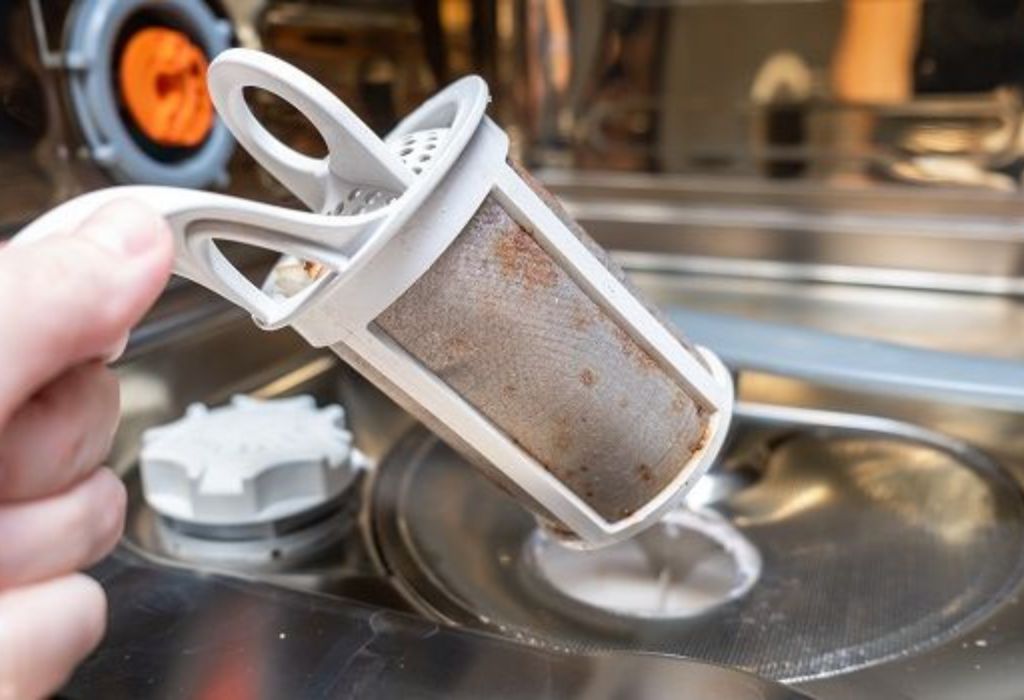 Checking Local Regulations Before Disposal