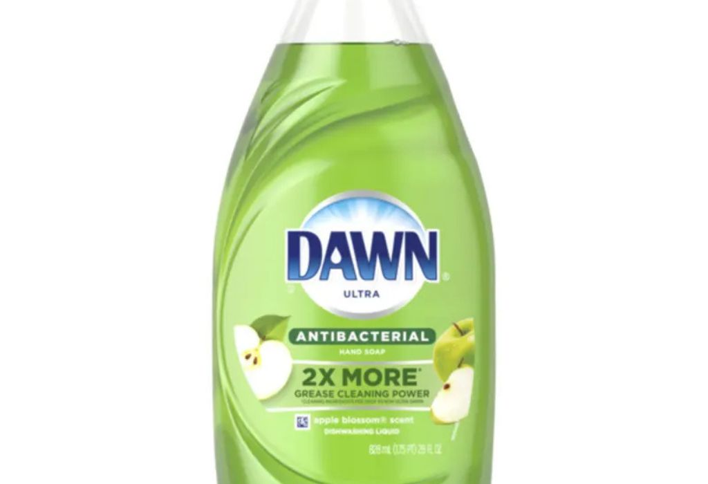 How Regular Dishwashing Soap Removes Germs