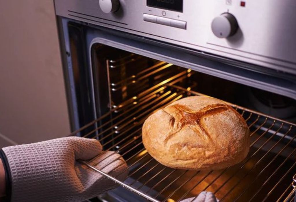 Understanding the Basics of Convection Ovens
