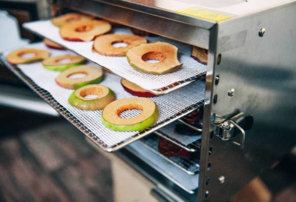 What Is Food Dehydration and How Does It Work?