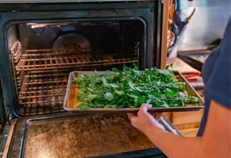 How to Dehydrate Herbs in Oven for Long Lasting Fresh Flavor
