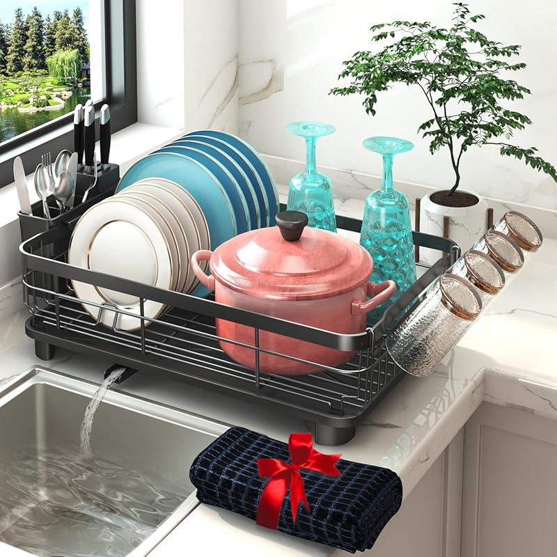Dish Drying Rack with Auto-Drain