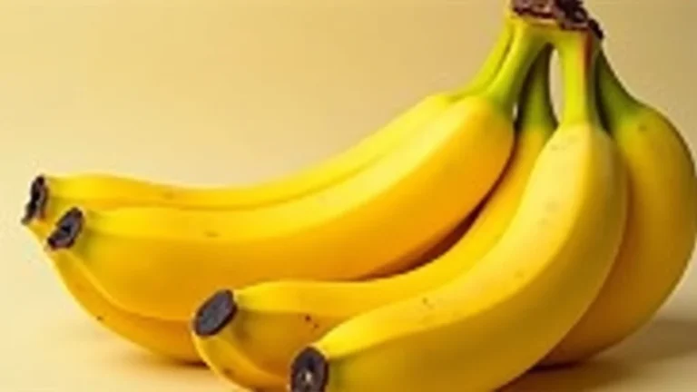 Top Rated 5 Cordless Hand Vacuums