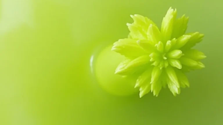 Top Rated 5 Cordless Hand Vacuums